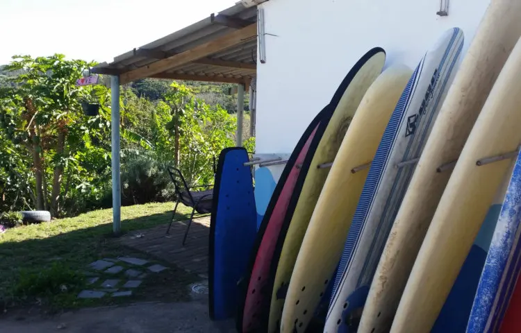 pumula surf camp